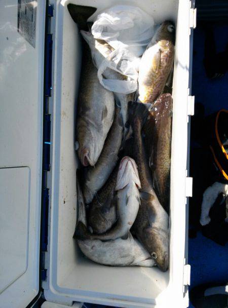 海龍丸（石川） 釣果