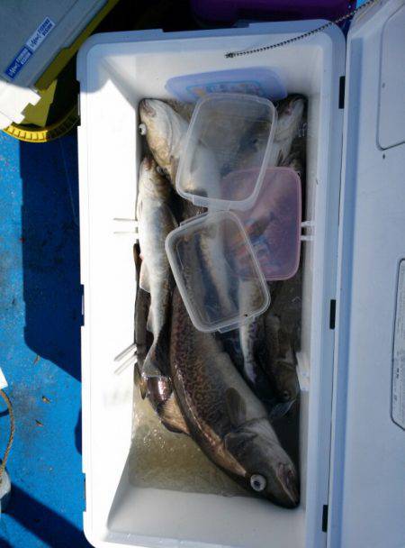 海龍丸（石川） 釣果