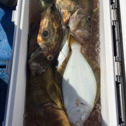 海龍丸（石川） 釣果