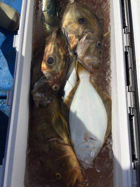 海龍丸（石川） 釣果