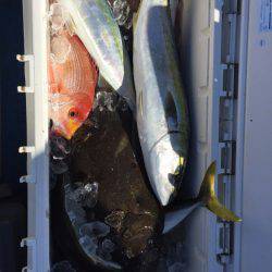 海龍丸（石川） 釣果