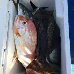 海龍丸（石川） 釣果