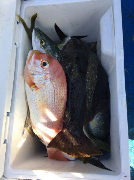 海龍丸（石川） 釣果