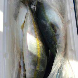 海龍丸（石川） 釣果