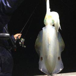 Monster Rush! 釣果