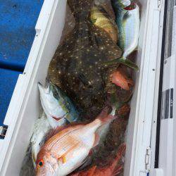 海龍丸(石川) 釣果