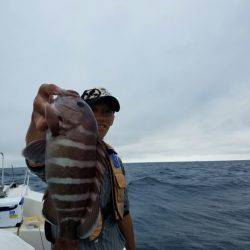 ソルトウォーターガイドフレンズ 釣果