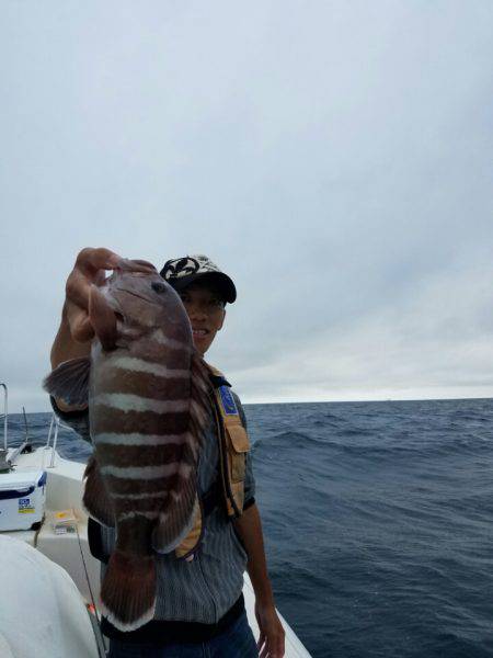 ソルトウォーターガイドフレンズ 釣果