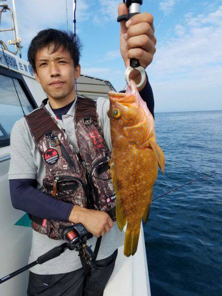 ソルトウォーターガイドフレンズ 釣果