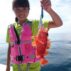 エンペラー 釣果