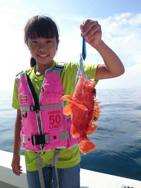 エンペラー 釣果