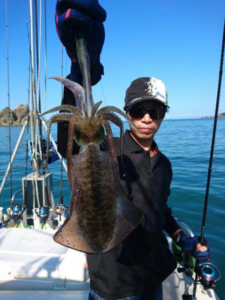 ARCADIAⅡ (アルカディアⅡ) 釣果