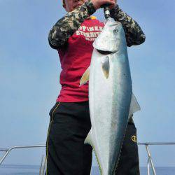 ブルースフィッシングサービス 釣果