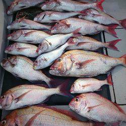 ブルースフィッシングサービス 釣果