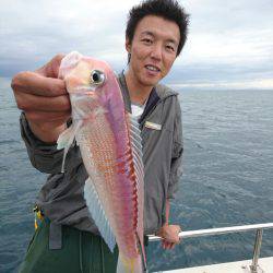 ARCADIAⅡ （アルカディアⅡ） 釣果