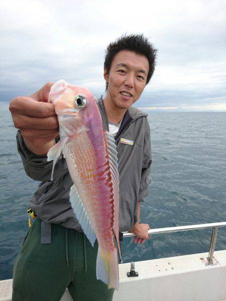 ARCADIAⅡ （アルカディアⅡ） 釣果