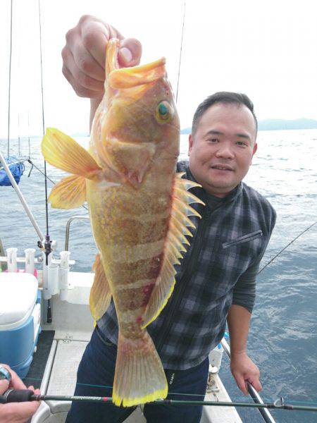 ARCADIAⅡ （アルカディアⅡ） 釣果