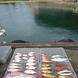 ARCADIAⅡ （アルカディアⅡ） 釣果