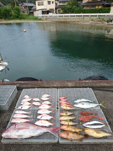 ARCADIAⅡ （アルカディアⅡ） 釣果