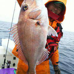 ブルドック 釣果