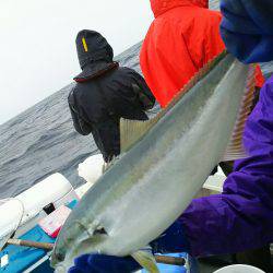 ブルドック 釣果