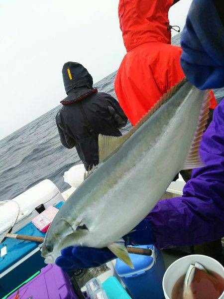 ブルドック 釣果