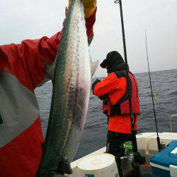 ブルドック 釣果