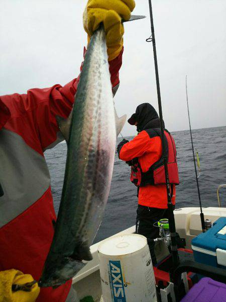 ブルドック 釣果