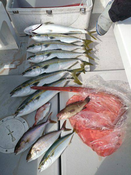 エンペラー 釣果