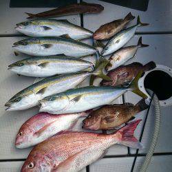 エンペラー 釣果