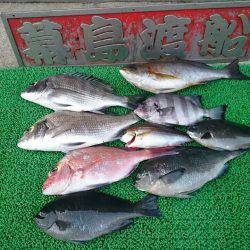 幕島丸 釣果