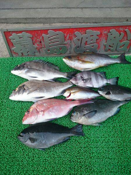 幕島丸 釣果