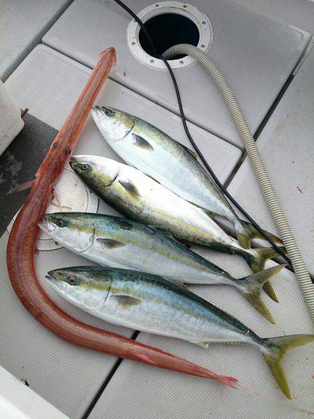 エンペラー 釣果