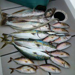 エンペラー 釣果