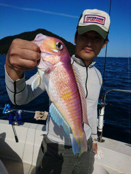 ARCADIAⅡ (アルカディアⅡ) 釣果