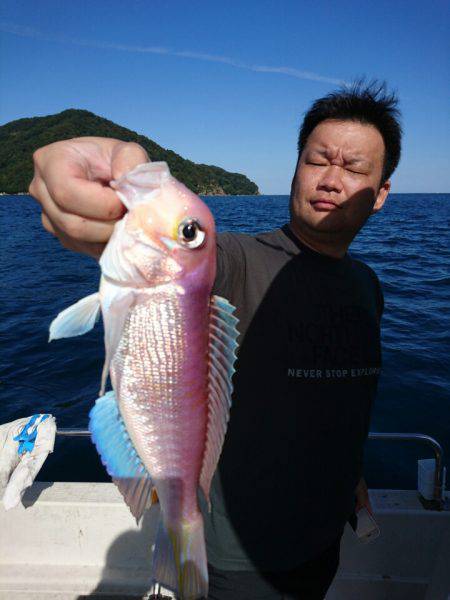 ARCADIAⅡ (アルカディアⅡ) 釣果