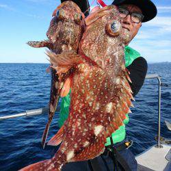 ARCADIAⅡ (アルカディアⅡ) 釣果