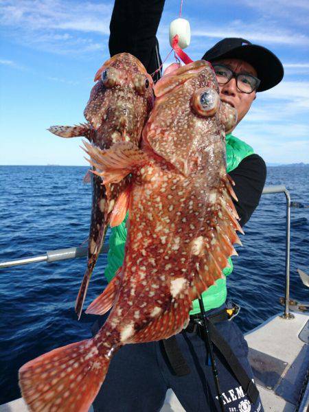 ARCADIAⅡ (アルカディアⅡ) 釣果