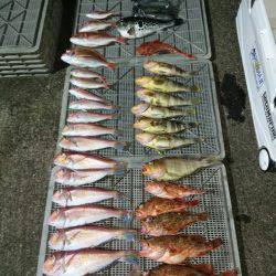 ARCADIAⅡ (アルカディアⅡ) 釣果