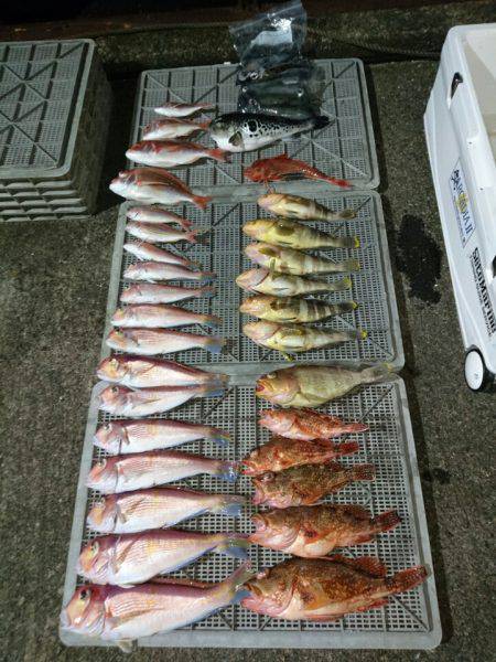 ARCADIAⅡ (アルカディアⅡ) 釣果