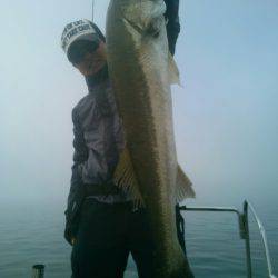 海龍丸(島根) 釣果