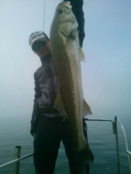 海龍丸(島根) 釣果