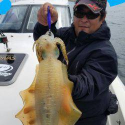 ソルトウォーターガイドフレンズ 釣果