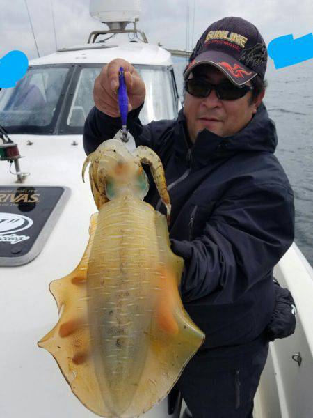 ソルトウォーターガイドフレンズ 釣果