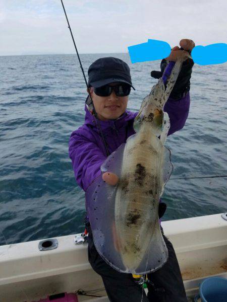 ソルトウォーターガイドフレンズ 釣果