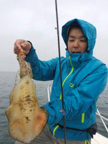 ソルトウォーターガイドフレンズ 釣果