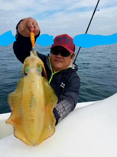 ソルトウォーターガイドフレンズ 釣果