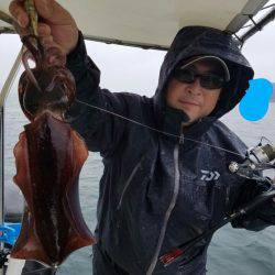 ソルトウォーターガイドフレンズ 釣果