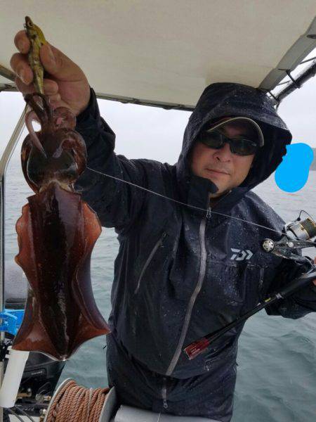 ソルトウォーターガイドフレンズ 釣果