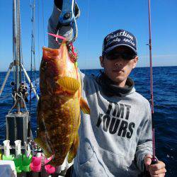 ARCADIAⅡ (アルカディアⅡ) 釣果